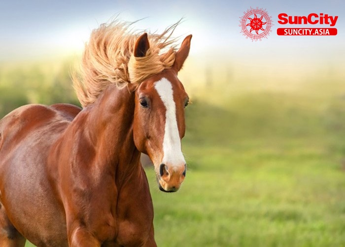 Ngựa là con vật gì? Nằm mơ thấy ngựa là điềm báo tốt hay xấu?